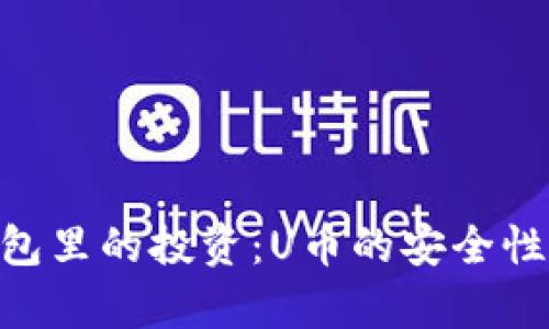 Tokenim钱包里的投资：U币的安全性与风险分析