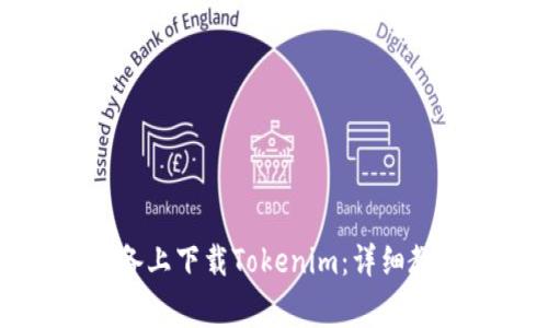 如何在国内安卓设备上下载Tokenim：详细教程及常见问题解答