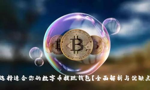 如何选择适合你的数字币提现钱包？全面解析与优缺点对比