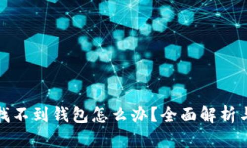 数字货币找不到钱包怎么办？全面解析与解决方案