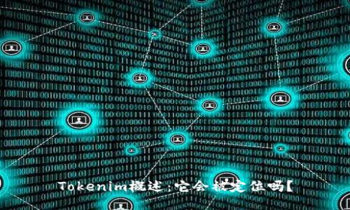 Tokenim概述：它会被定位吗？
