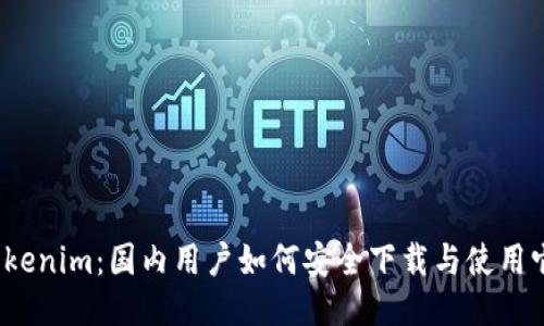 Tokenim：国内用户如何安全下载与使用它？