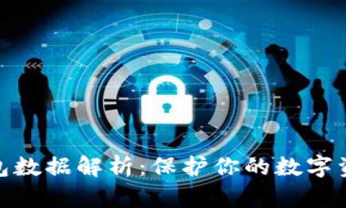 加密钱包数据解析：保护你的数字资产安全