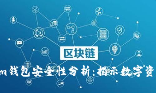 Tokentokenim钱包安全性分析：揭示数字资产保护的真相