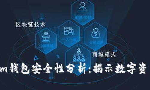 Tokentokenim钱包安全性分析：揭示数字资产保护的真相