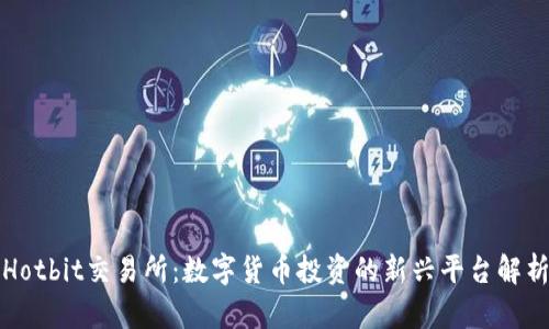 Hotbit交易所：数字货币投资的新兴平台解析