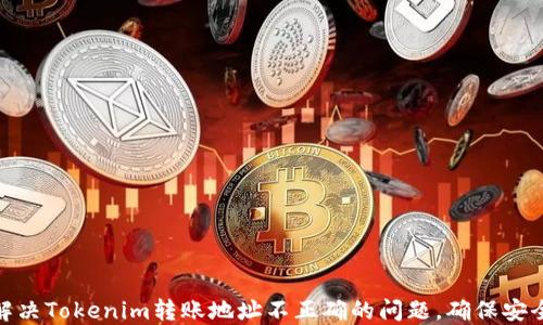 
如何解决Tokenim转账地址不正确的问题，确保安全转账