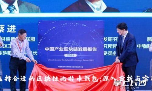 如何选择合适的区块链比特币钱包：深入分析与实用指南