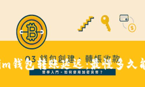 Tokenim钱包转账延迟：最慢多久能到账？