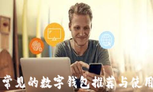 
国内常见的数字钱包推荐与使用指南