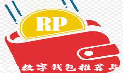
国内常见的数字钱包推荐与使用指南