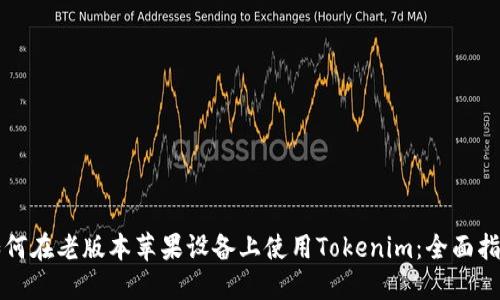 如何在老版本苹果设备上使用Tokenim：全面指南