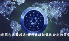 加密钱包选择指南：哪种