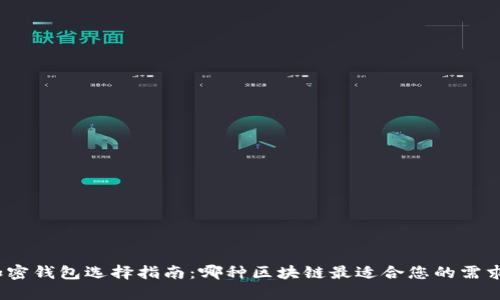 加密钱包选择指南：哪种区块链最适合您的需求？