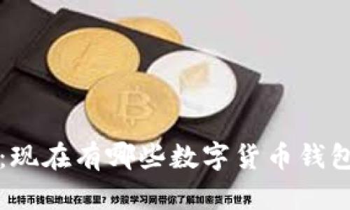 全面解析：现在有哪些数字货币钱包及其特点