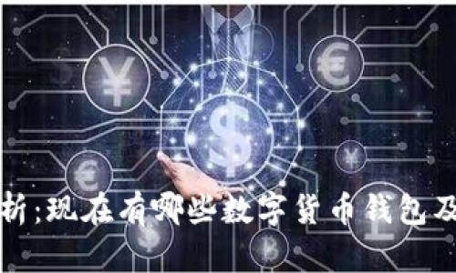 全面解析：现在有哪些数字货币钱包及其特点