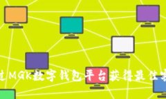 如何通过MGK数字钱包平台
