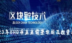2023年BHD币未来前景分析及