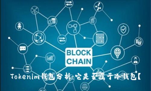Tokenim钱包分析：它是否属于冷钱包？