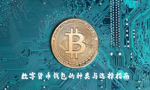 数字货币钱包的种类与选择指南