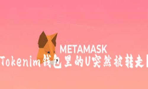 ### 为何你的Tokenim钱包里的U突然被转走？原因及解决方案