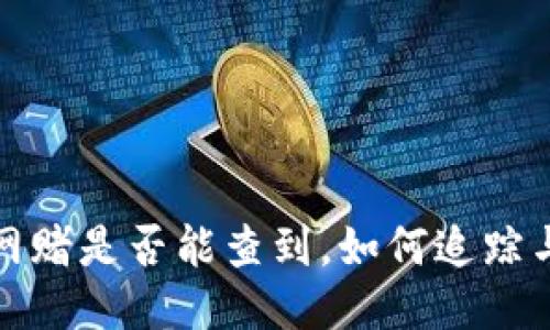 波币网赌是否能查到，如何追踪与应对