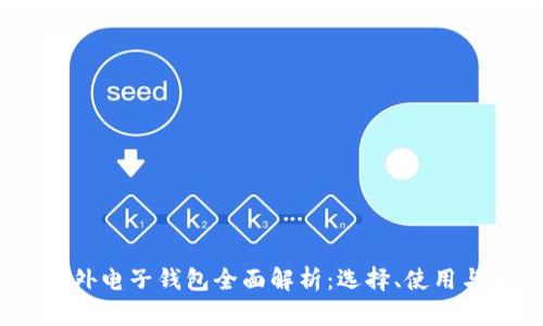 2023年海外电子钱包全面解析：选择、使用与未来趋势