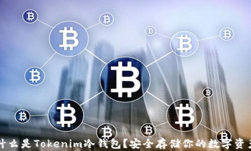 
什么是Tokenim冷钱包？安全存储你的数字资产