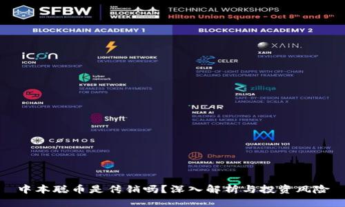 中本聪币是传销吗？深入解析与投资风险