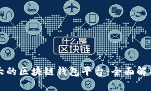 全球最大的区块链钱包平台：全面解析与推荐