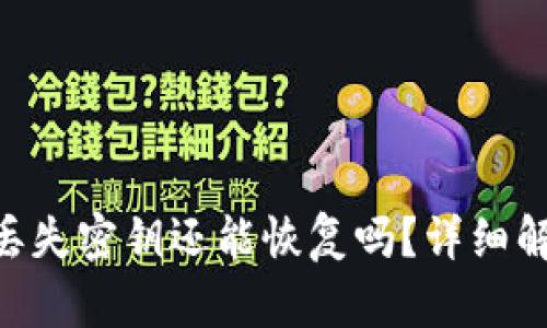 和关键词

Tokenim钱包丢失密钥还能恢复吗？详细解析与解决方案