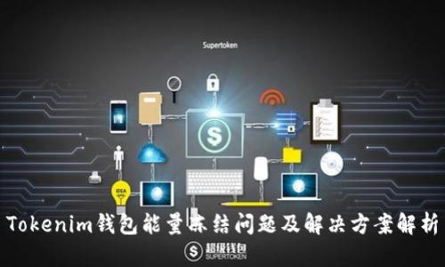Tokenim钱包能量冻结问题及解决方案解析