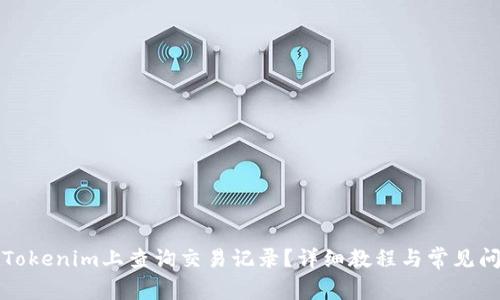 如何在Tokenim上查询交易记录？详细教程与常见问题解答