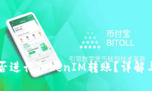 比特儿能否进行TokenIM转账？详解与操作指南