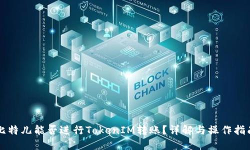 比特儿能否进行TokenIM转账？详解与操作指南