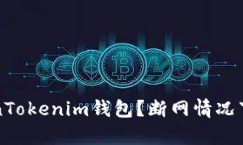 如何使用TokenTokenim钱包？断网情况下的安全性解析
