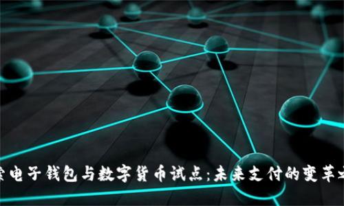 探索电子钱包与数字货币试点：未来支付的变革之路