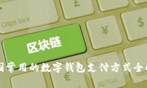 中国常用的数字钱包支付方式全解析