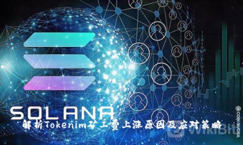 解析Tokenim矿工费上涨原因及应对策略