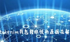 Tokentokenim钱包转账慢的原