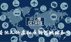 如何查看他人的虚拟币钱