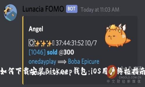 如何下载安装BitKeep钱包：iOS用户终极指南