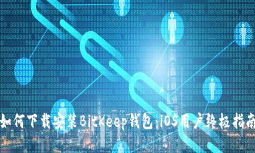 如何下载安装BitKeep钱包：iOS用户终极指南