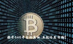 揭开BHE平台的真相：正规