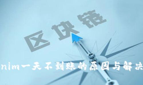 Tokenim一天不到账的原因与解决办法