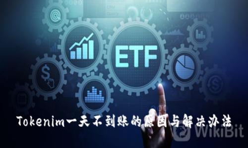 Tokenim一天不到账的原因与解决办法