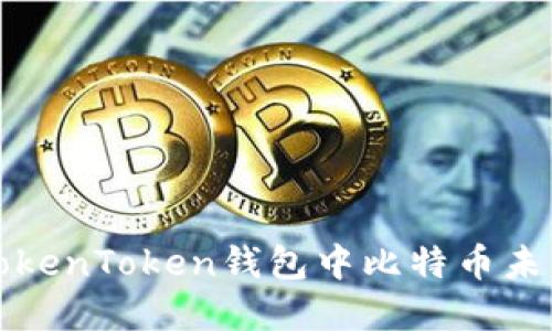 如何解决TokenToken钱包中比特币未到账的问题