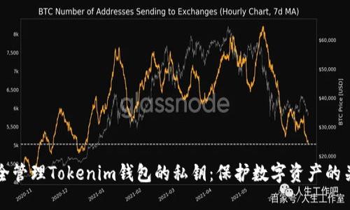 如何安全管理Tokenim钱包的私钥：保护数字资产的关键指南