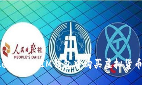 如何在TokenTokenIM钱包中购买虚拟货币：详细指南