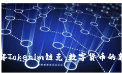 深入了解Tokenim链克：数字